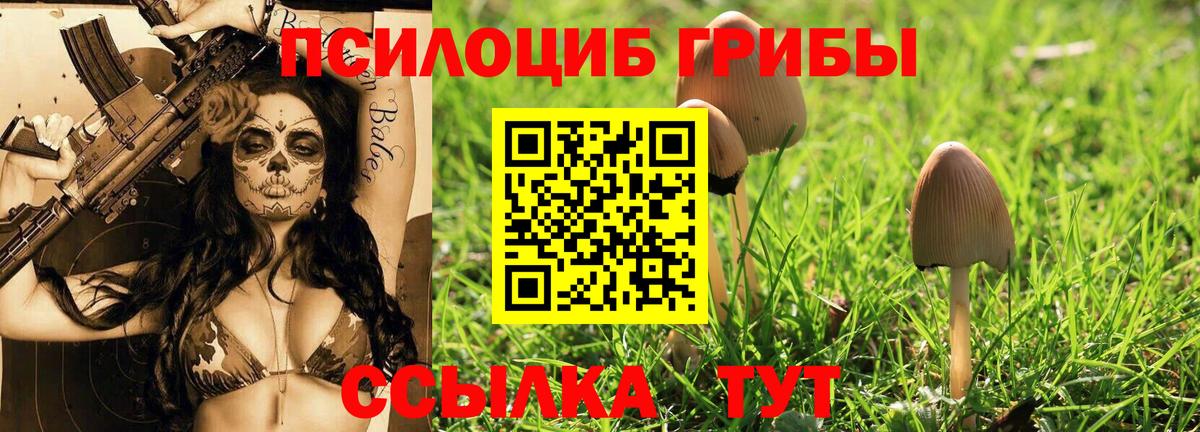 Псилоцибиновые грибы MAGIC MUSHROOMS Нововоронеж