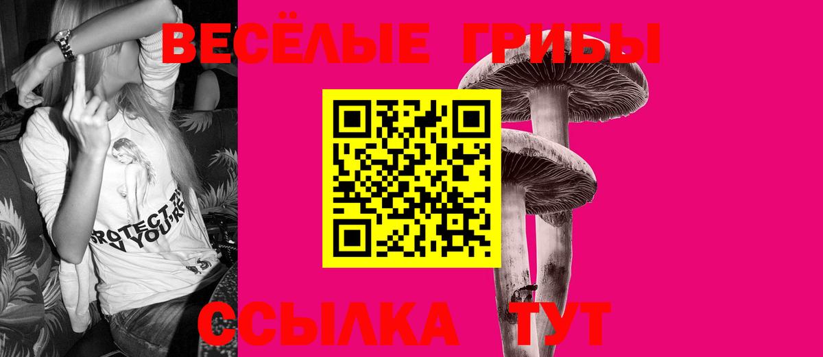 Амфетамин Нововоронеж